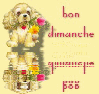 Gif animé Bon dimanche chien